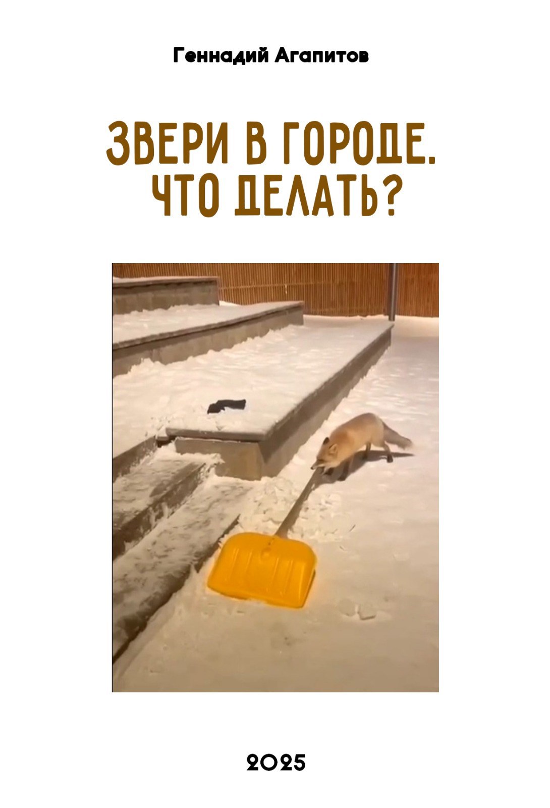Звери в городе. Что делать?