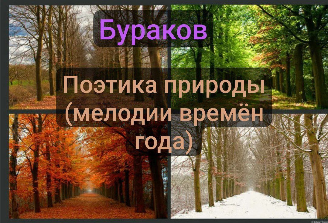 Поэтика природы мелодии времён года