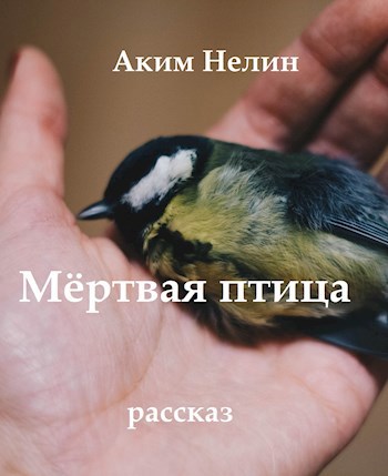 Мёртвая птица
