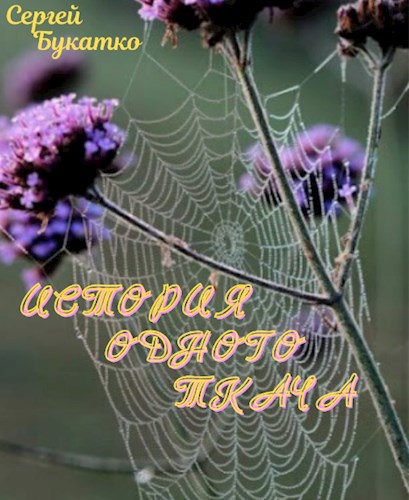 История одного ткача