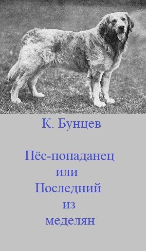 Пёс-попаданец, или Последний из меделян(анонс)