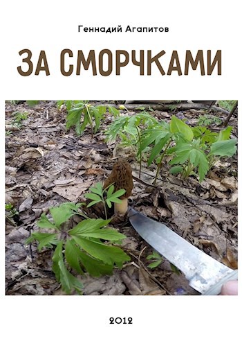 За сморчками