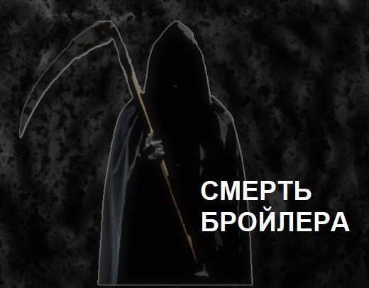 Смерть бройлера