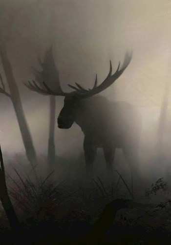 кто убил Лосю Палмер