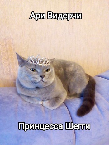Принцесса Шегги