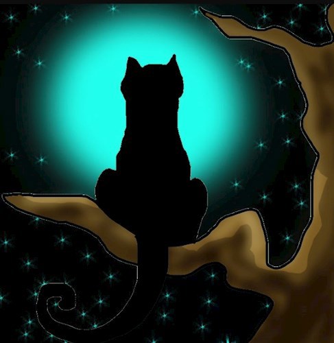 Куда уходит кот