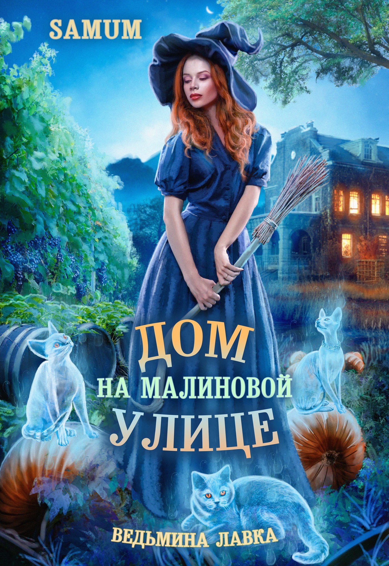 Ведьмина лавка. Дом на Малиновой улице