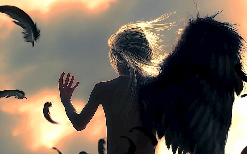 Broken Wings
