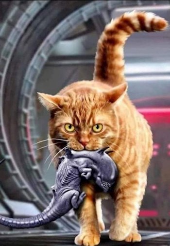 Продается в комплекте