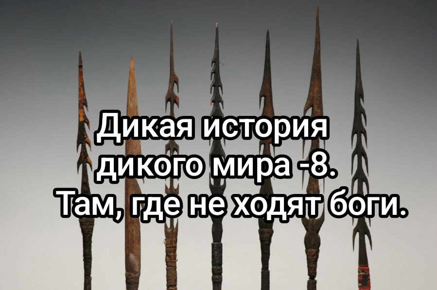 Дикая история дикого мира-8. Там, где не ходят боги.