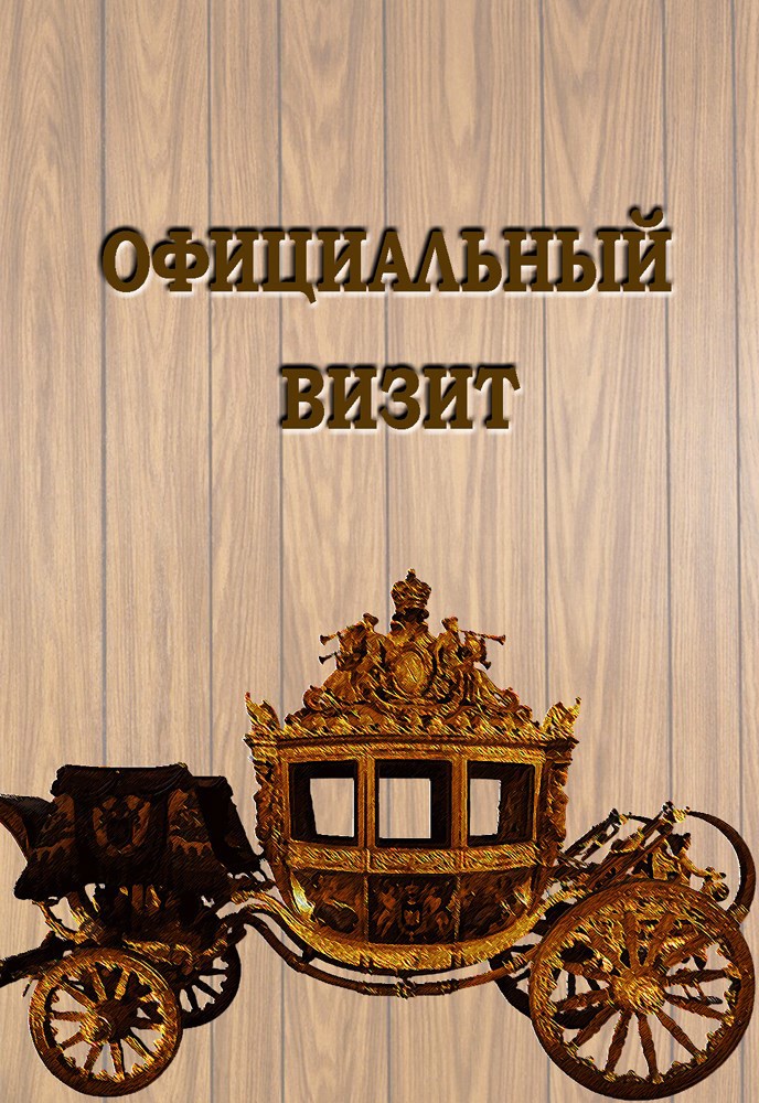 Официальный визит