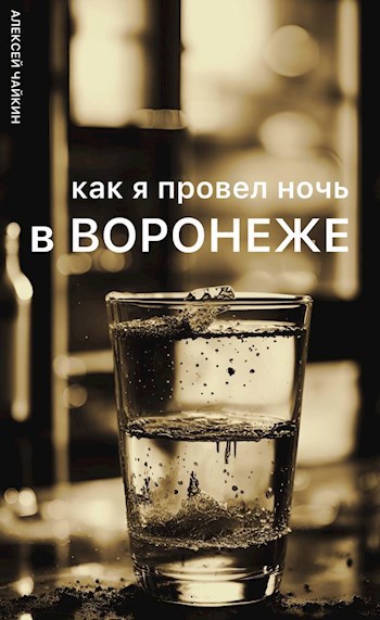 Как я провел ночь в Воронеже