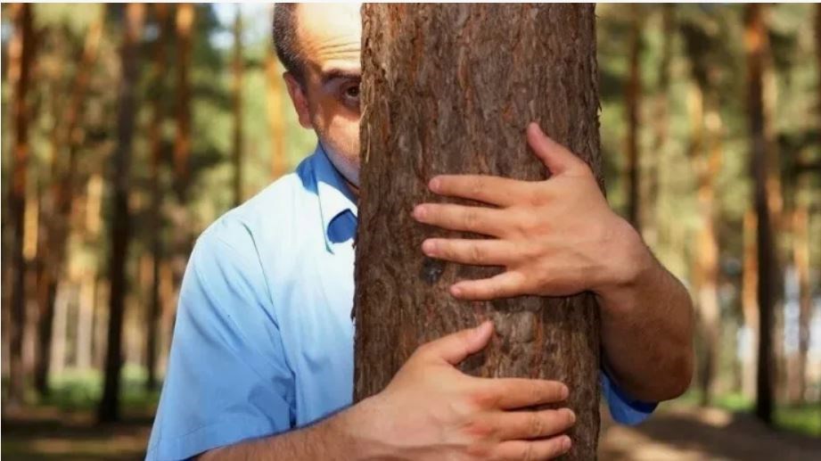 Неоднозначен лес осенний жутко ироничное