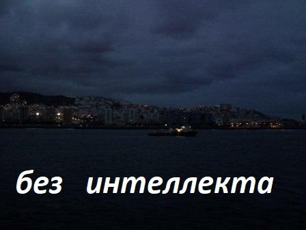 Без интеллекта
