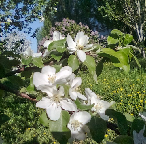Избранное 2024 г.&#39; первая часть
