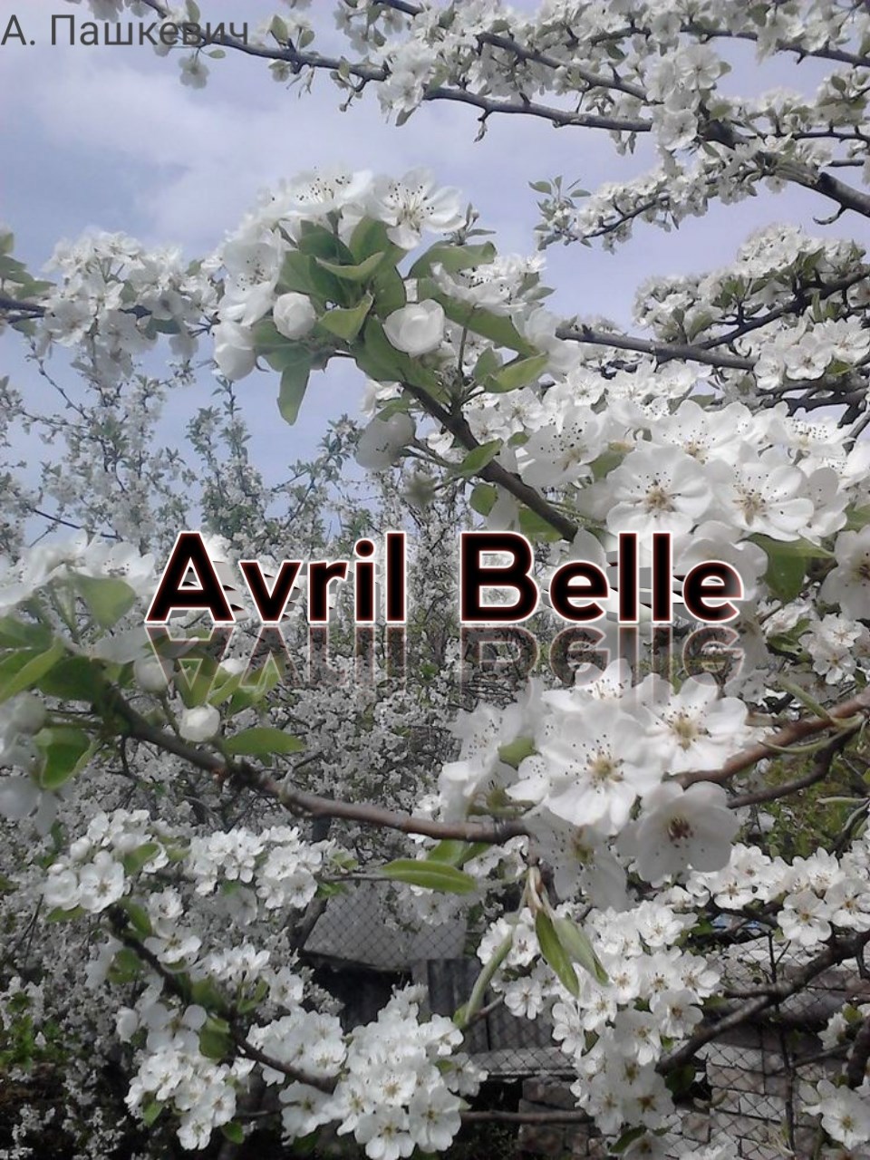 Avril Belle
