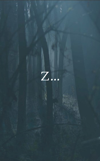 Z…