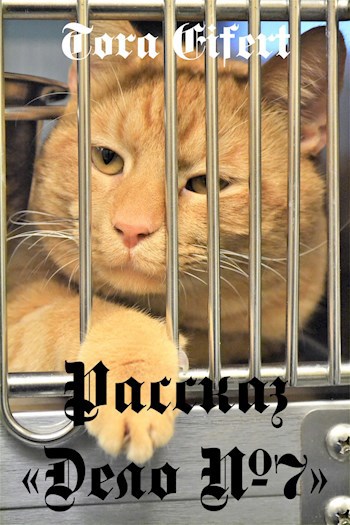 Рассказ Дело 7. О том куда смотреть нельзя.