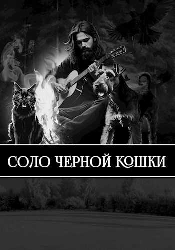 Соло черной кошки