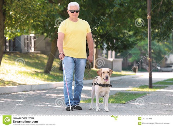 Ангел слепого