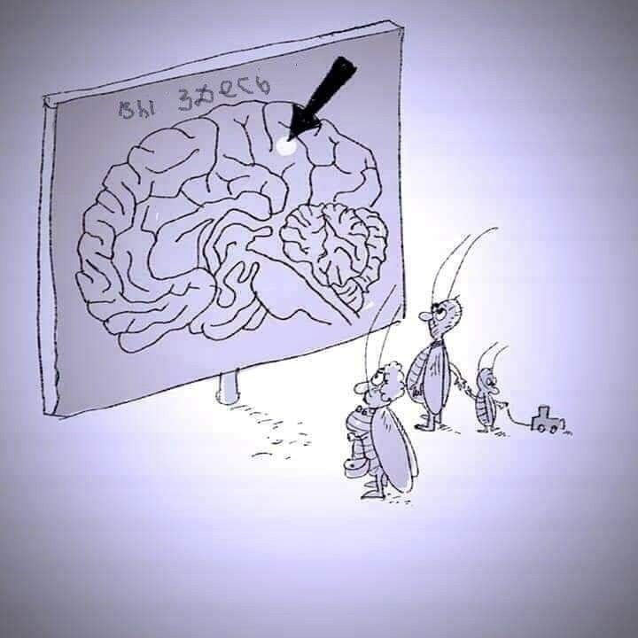 Сборник. первобытные истории.