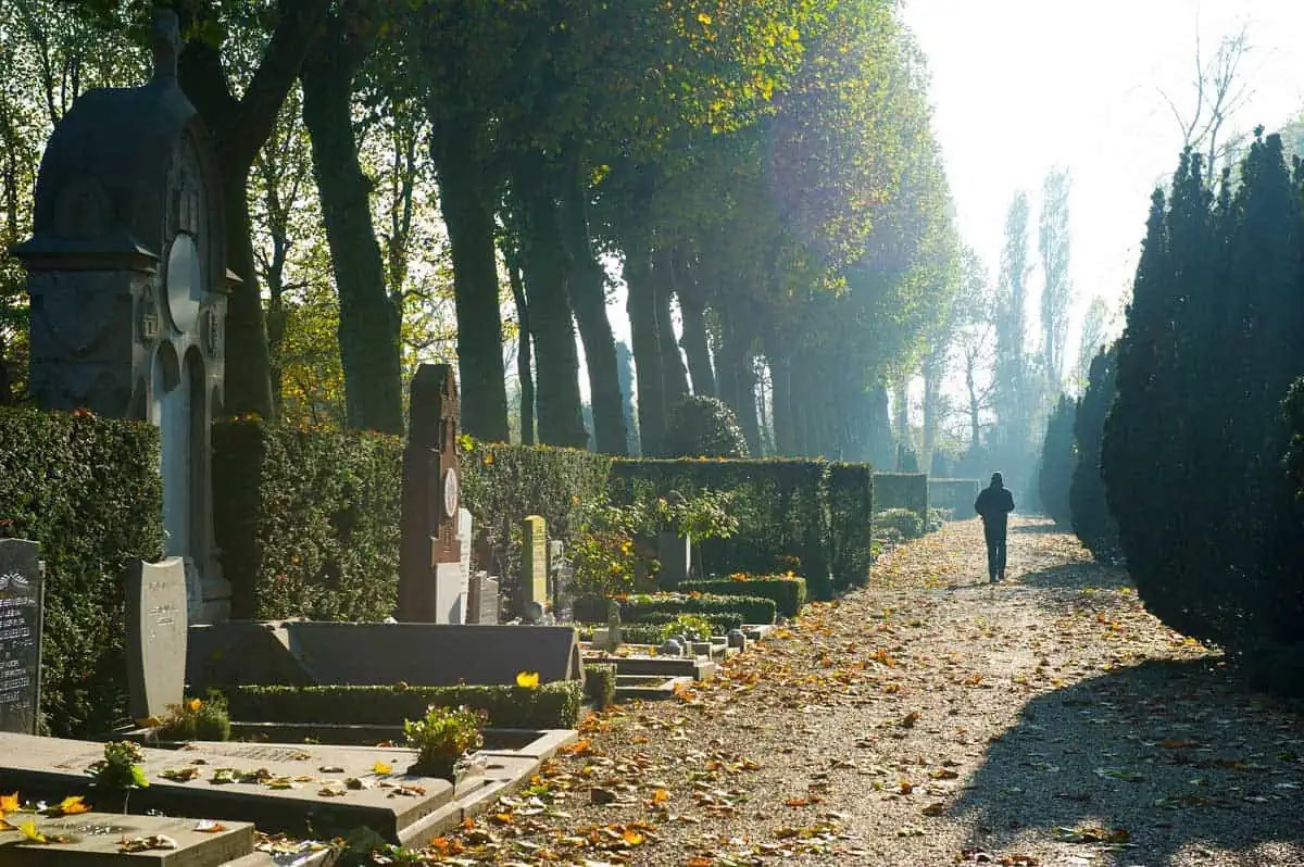Похоронная страховка голландца.