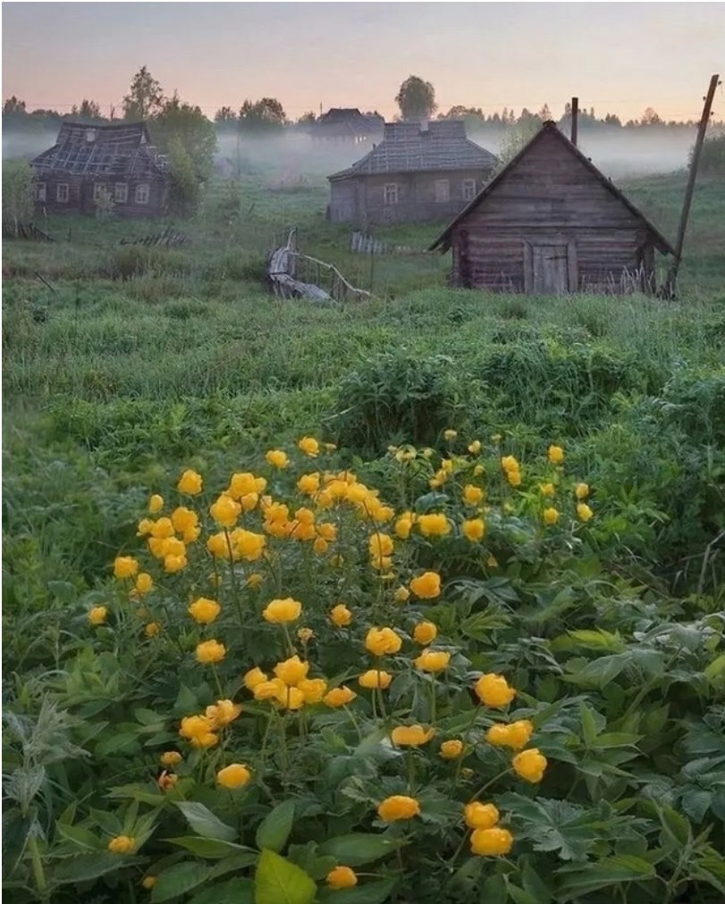 Заброшенная деревня