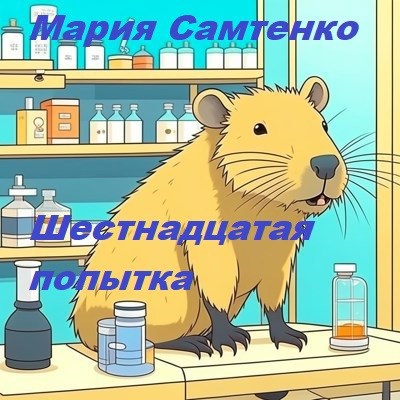 Шестнадцатая попытка