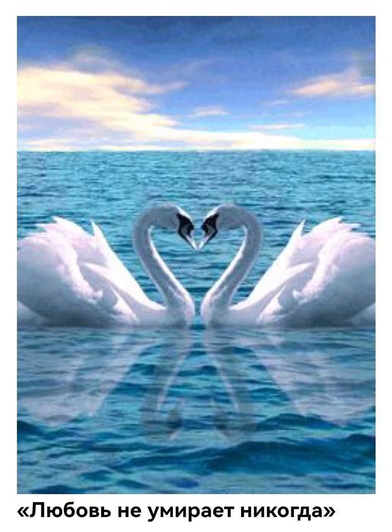 Любовь не умирает никогда.