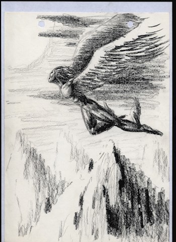 Зачем дураку крылья