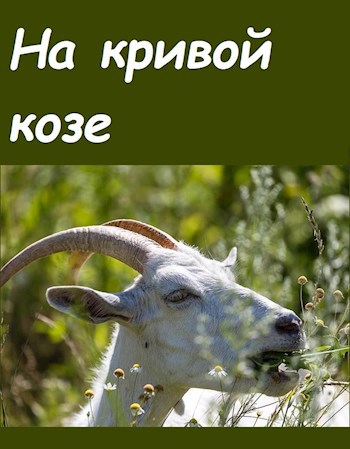 На кривой козе