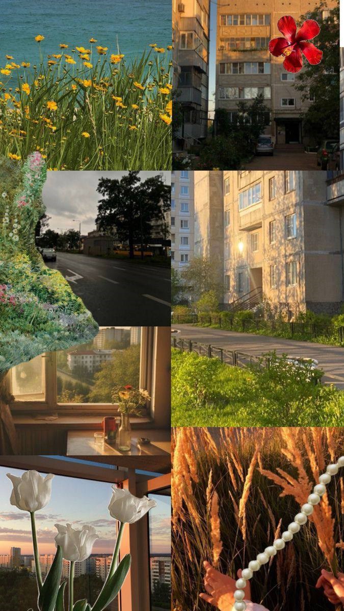 Жизнь в долине. Городская скука