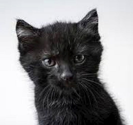 Утро Толика