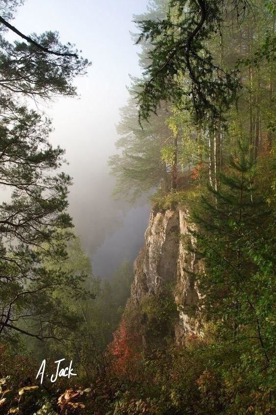 Гнездо беркута