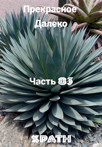 Прекрасное Далеко, Часть 83