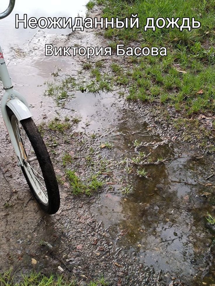 Неожиданный дождь