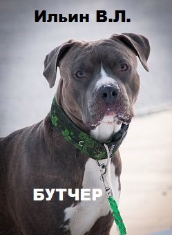 Бутчер