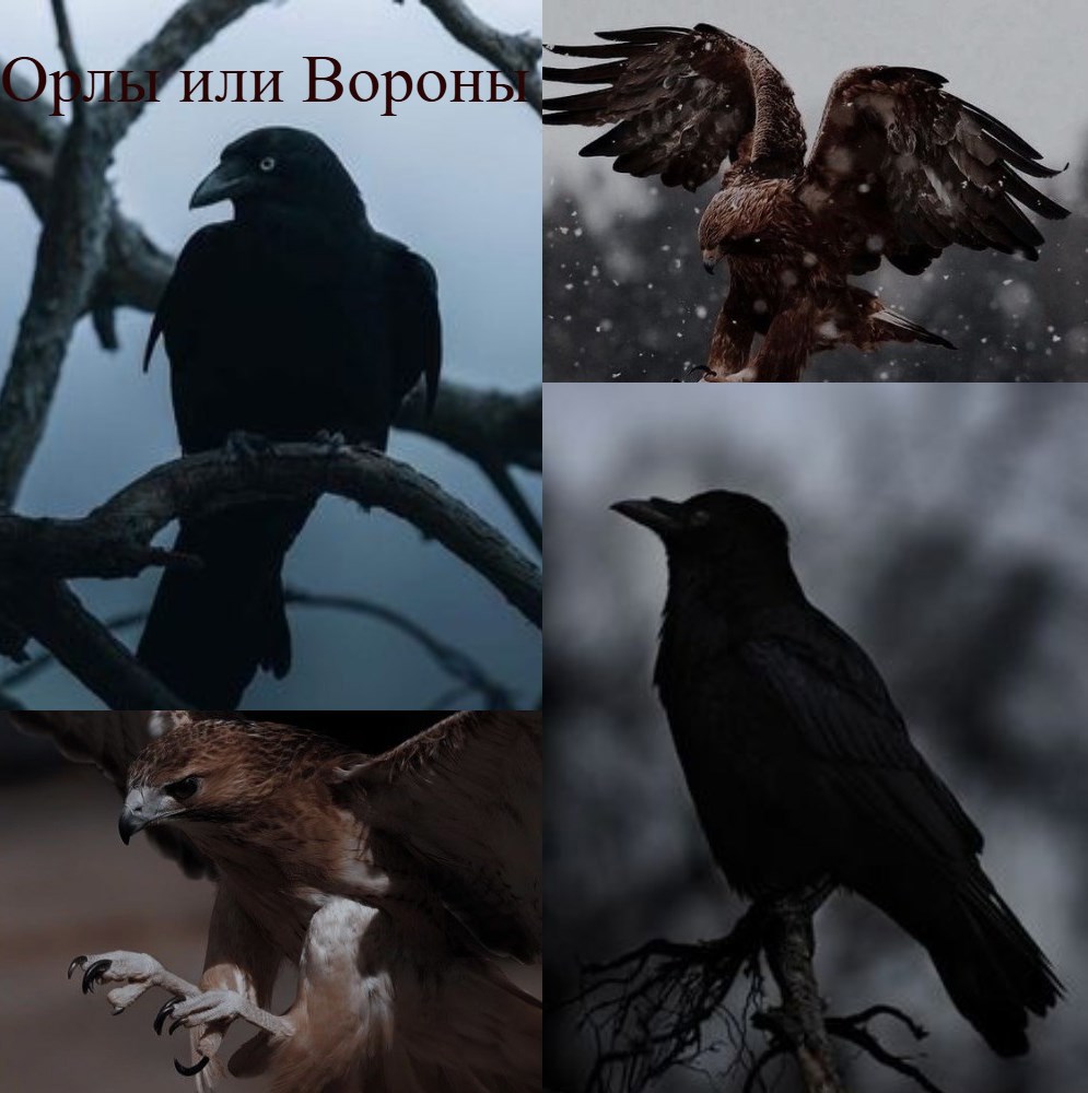 Орлы или Вороны