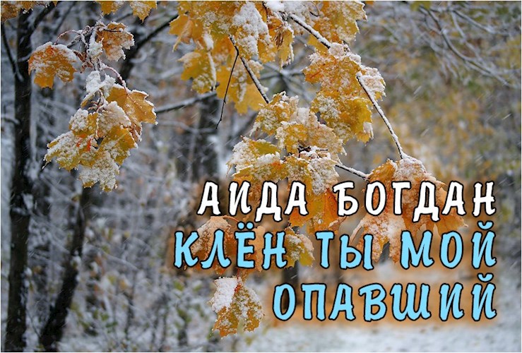 Клён ты мой опавший