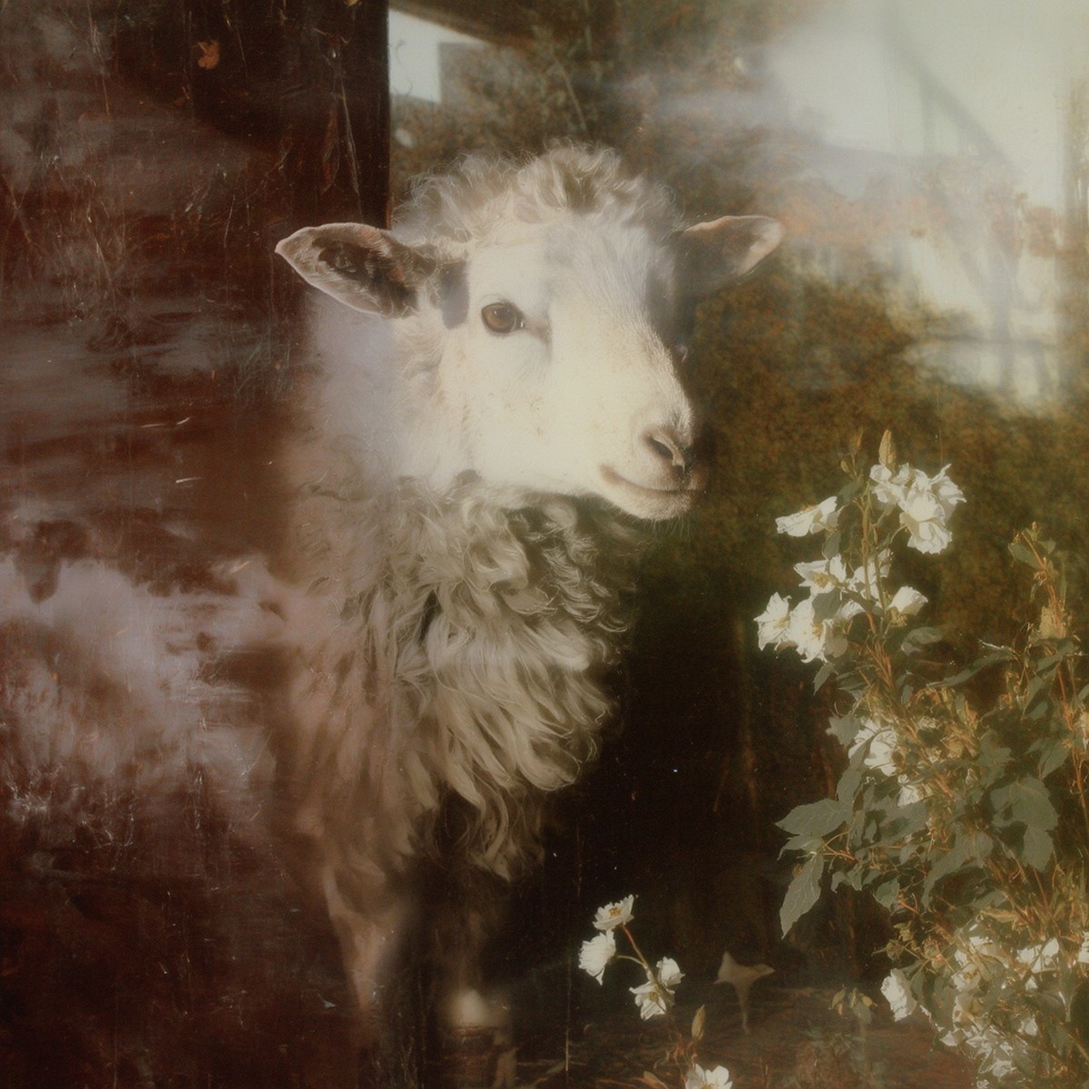 Собор на песке Оправдание искусства которое умирает вместе с нами