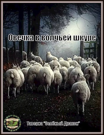 Овечка в волчьей шкуре
