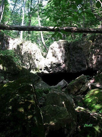 Мартышкин нос