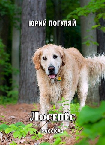 Лосепёс