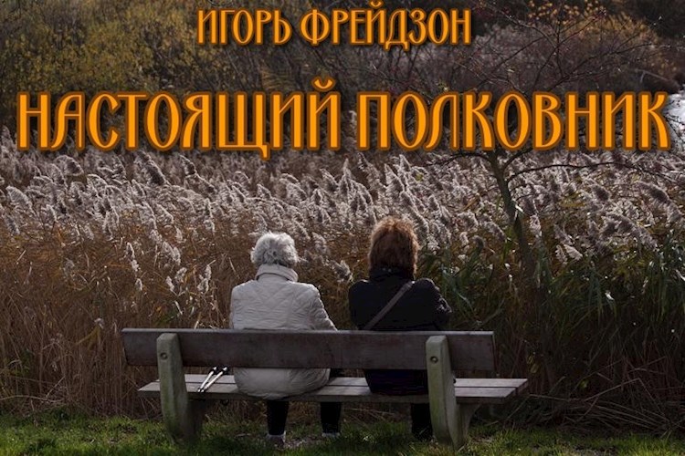 Настоящий полковник