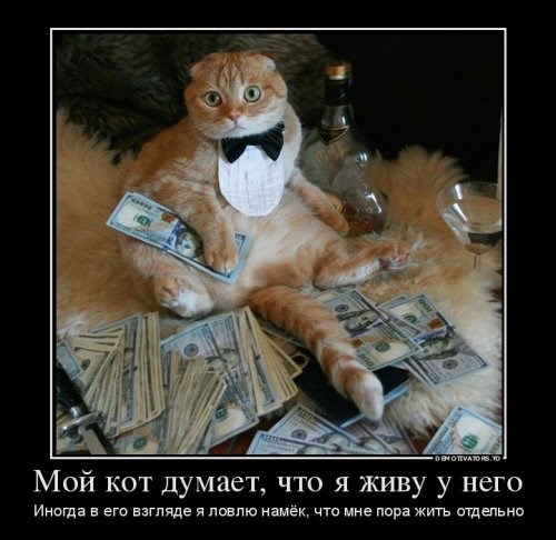Об иллюзорности в восприятии жизни