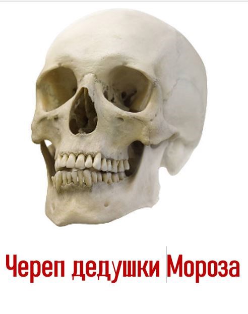 Череп Дедушки Мороза