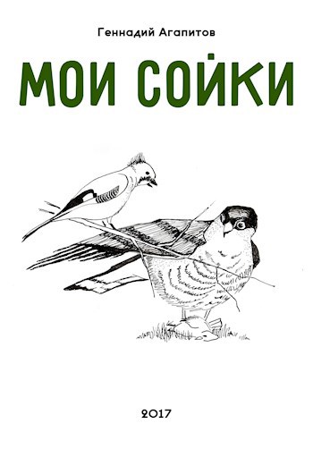 Мои сойки