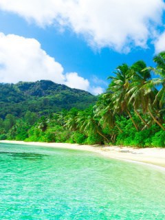 Затянувшиеся каникулы