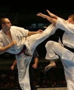 Атлетизм для восточных единоборств тренировки по Вейдеру