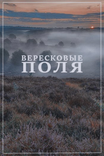 Вересковые поля